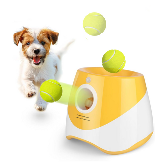 Automatic Ball Launcher